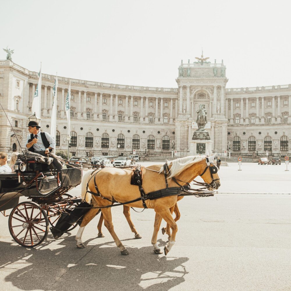 Sightseeing Tour